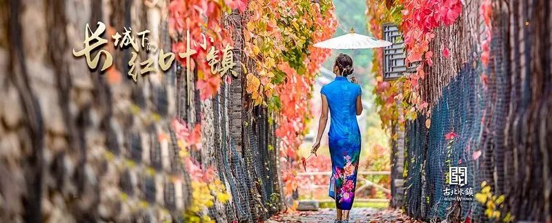 木兰围场旅游攻略2024-木兰围场旅游攻略两日游(图20) 木兰攻略旅游围场2024_木兰围场旅游攻略2024_木兰围场旅游攻略两日游