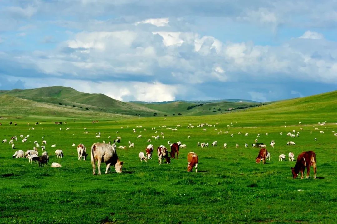 木兰围场旅游攻略2024-木兰围场旅游攻略两日游(图30) 木兰攻略旅游围场2024_木兰围场旅游攻略2024_木兰围场旅游攻略两日游