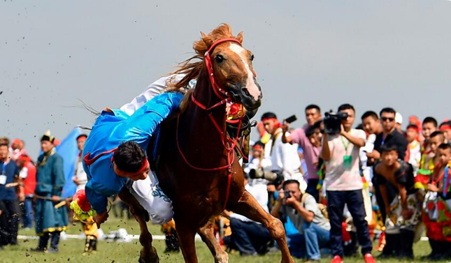 木兰围场旅游攻略2024-木兰围场旅游攻略两日游(图36) 木兰攻略旅游围场2024_木兰围场旅游攻略2024_木兰围场旅游攻略两日游