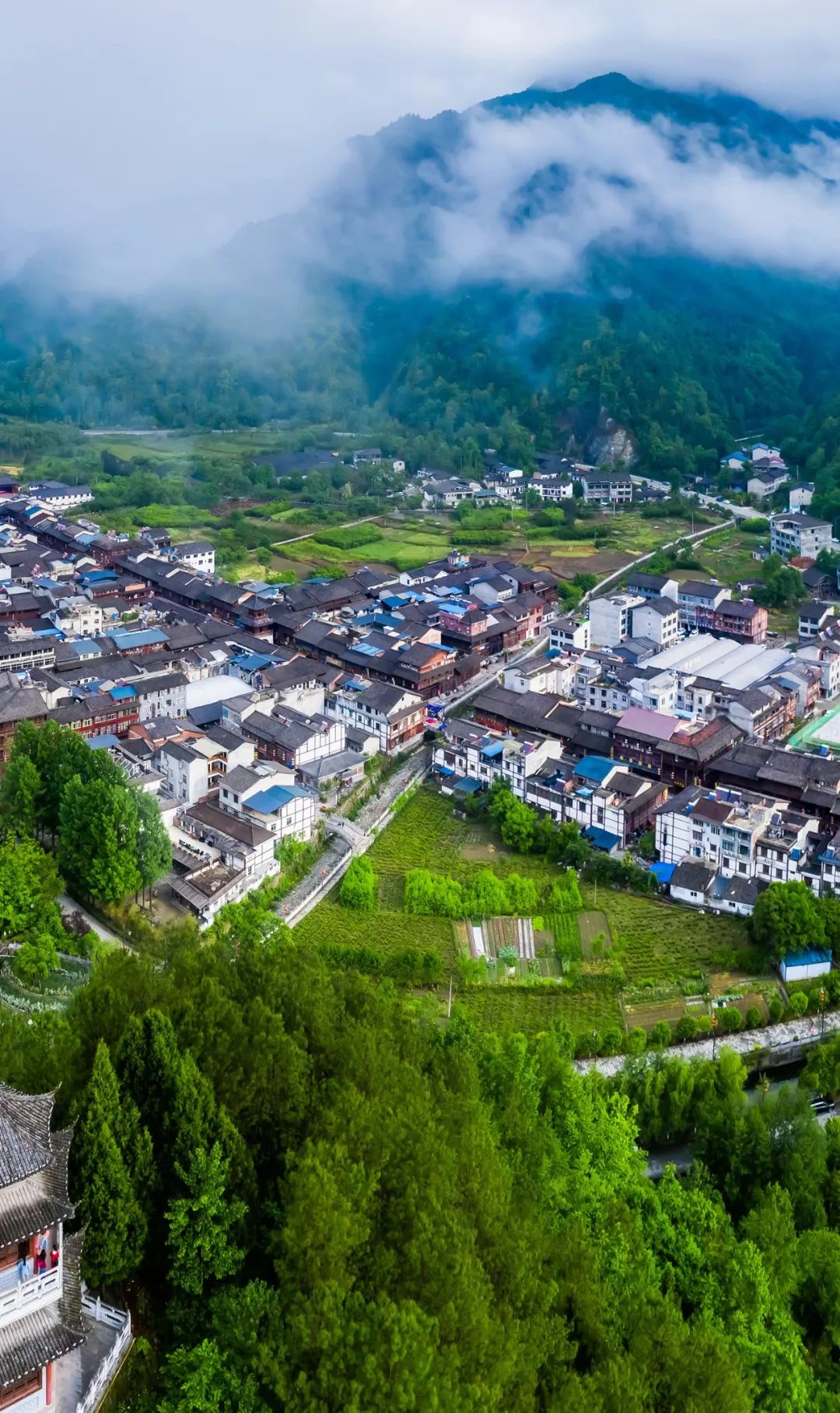 青木川游玩攻略_青木川旅游攻略青木川两日_青木川旅游攻略