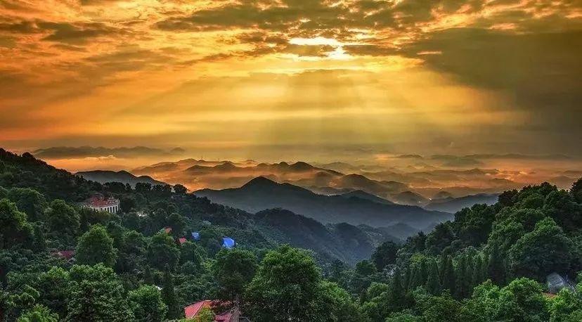 上海到西天目山旅游攻略_上海天目山_天目山攻略西天目山