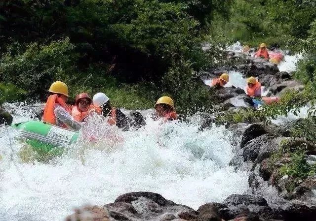 上海到西天目山旅游攻略_上海天目山_天目山攻略西天目山