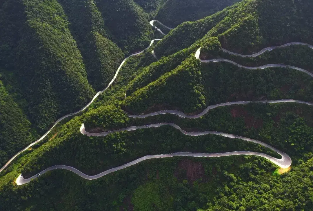 天目山攻略西天目山_上海到西天目山旅游攻略_上海天目山