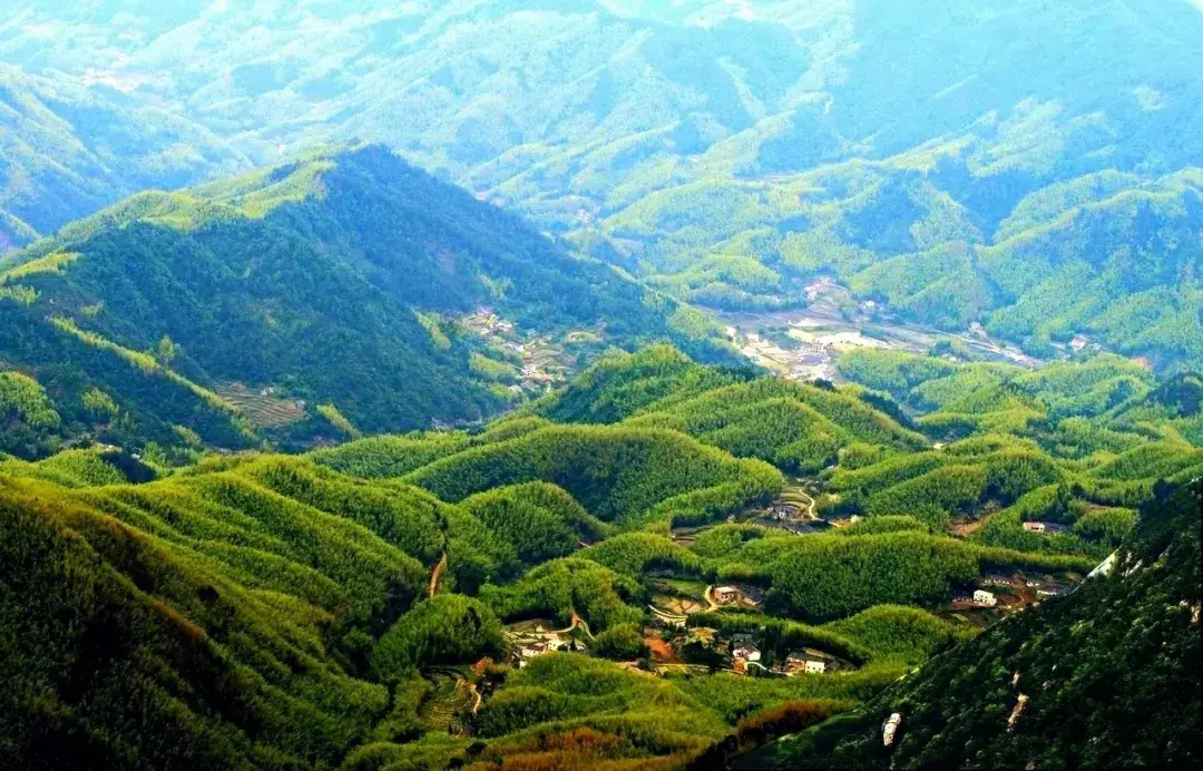 上海到西天目山旅游攻略_上海天目山_天目山攻略西天目山