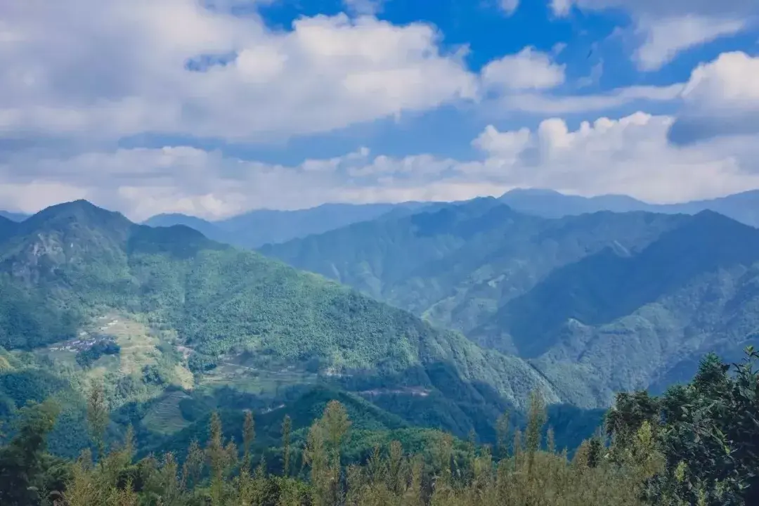 上海到西天目山旅游攻略_上海天目山_天目山攻略西天目山