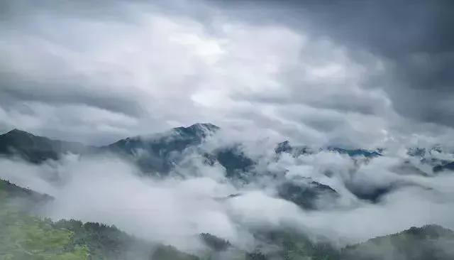 天目山攻略西天目山_上海到西天目山旅游攻略_上海天目山