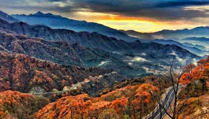 天目山攻略西天目山_上海到西天目山旅游攻略_上海天目山