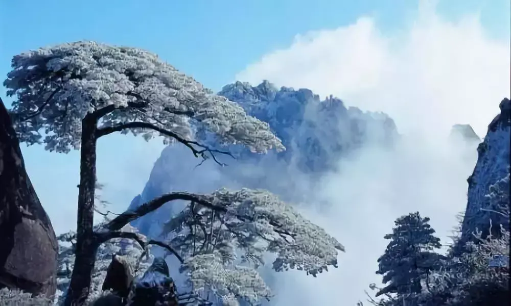 天目山攻略西天目山_上海天目山_上海到西天目山旅游攻略