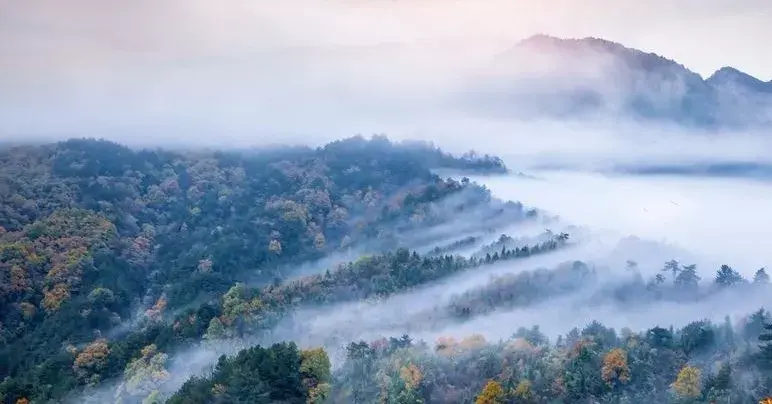 上海到西天目山旅游攻略_天目山攻略西天目山_上海天目山