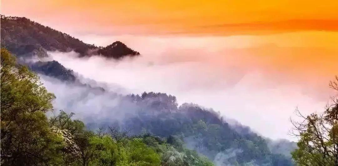 天目山攻略西天目山_上海天目山_上海到西天目山旅游攻略