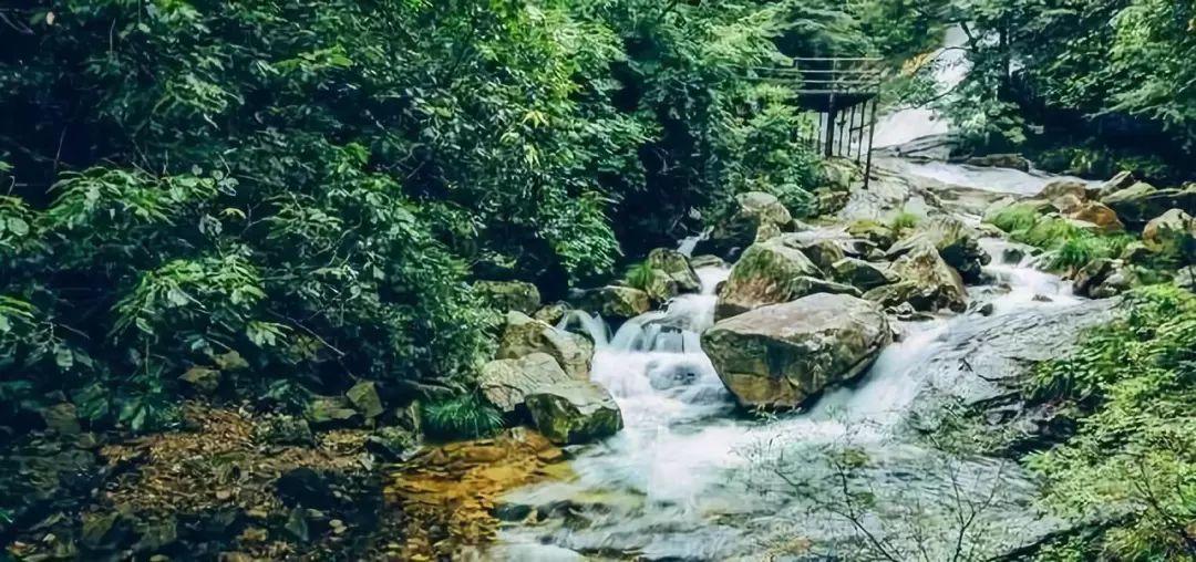 上海到西天目山旅游攻略_天目山攻略西天目山_上海天目山