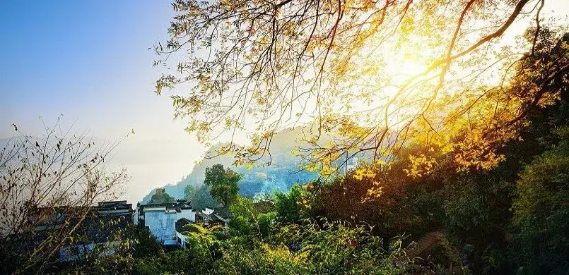 天目山攻略西天目山_上海天目山_上海到西天目山旅游攻略