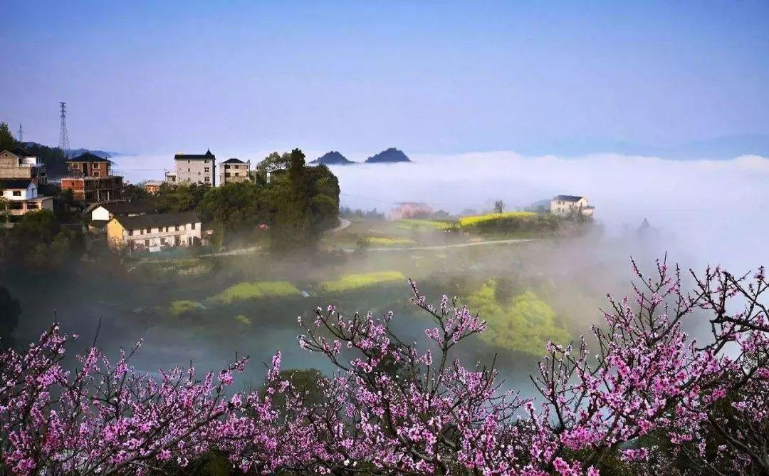 天目山攻略西天目山_上海到西天目山旅游攻略_上海天目山