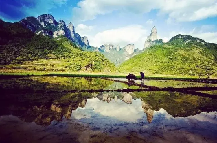 上海天目山_上海到西天目山旅游攻略_天目山攻略西天目山