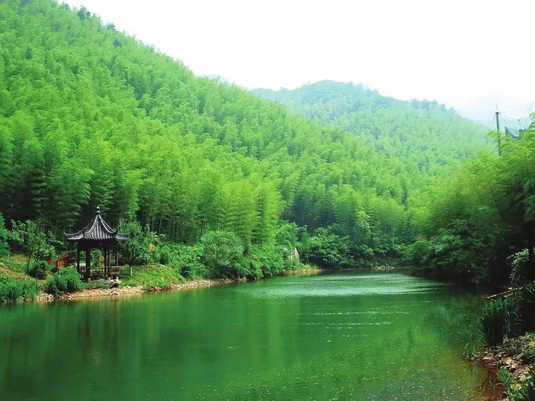 天目山攻略西天目山_上海天目山_上海到西天目山旅游攻略