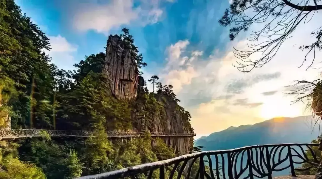 上海到西天目山旅游攻略_天目山攻略西天目山_上海天目山