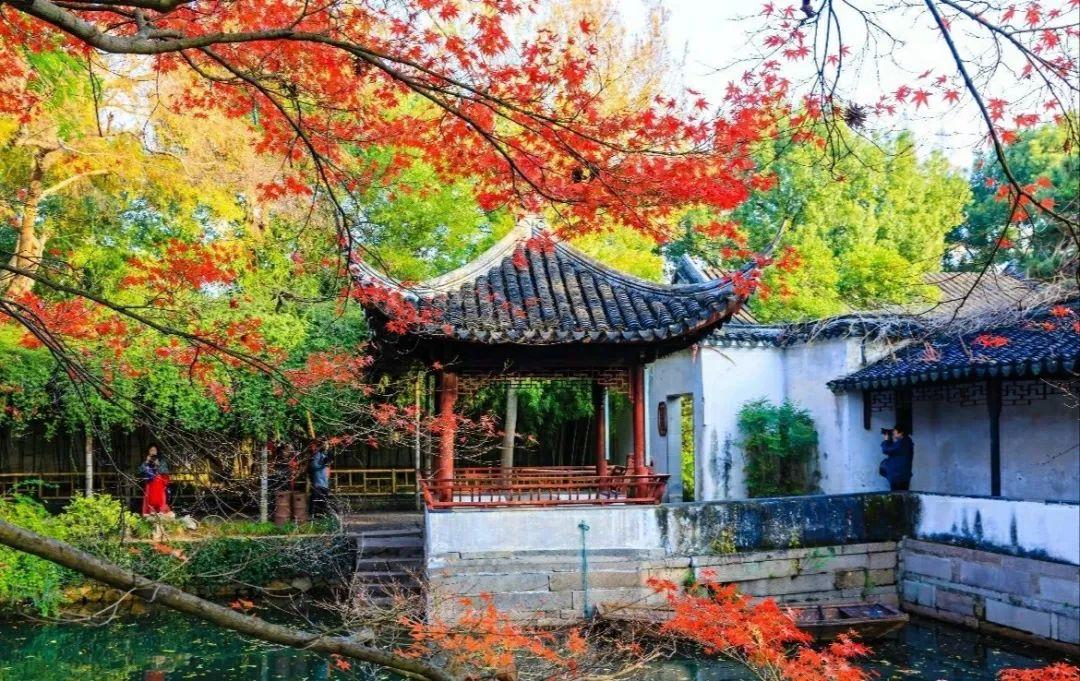上海天目山_上海到西天目山旅游攻略_天目山攻略西天目山