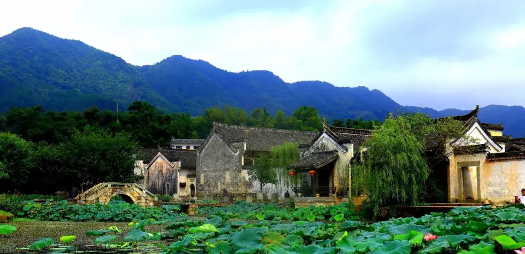天目山攻略西天目山_上海天目山_上海到西天目山旅游攻略