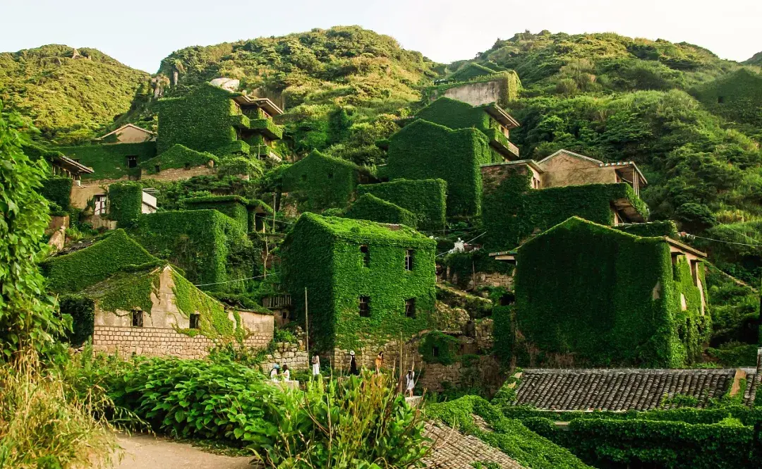 上海天目山_天目山攻略西天目山_上海到西天目山旅游攻略