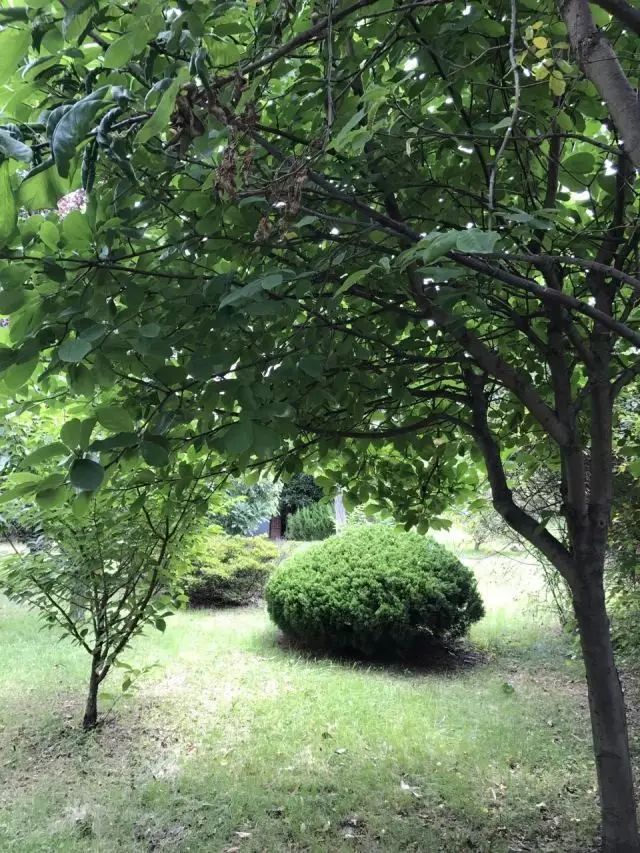 崂山旅游攻略必去景点_崂山攻略旅游攻略一天_崂山两日旅游攻略
