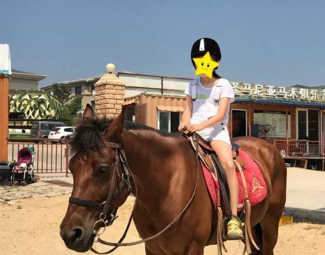 崂山旅游攻略必去景点_崂山攻略旅游攻略一天_崂山两日旅游攻略