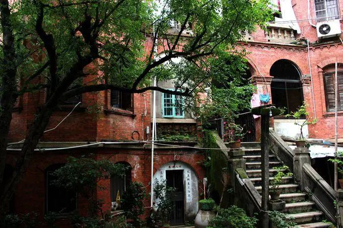 福建武夷山旅游攻略_福建旅游武夷山_福建攻略旅游武夷山路线