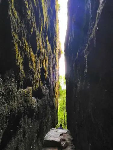 福建旅游武夷山_福建武夷山旅游攻略_福建攻略旅游武夷山路线