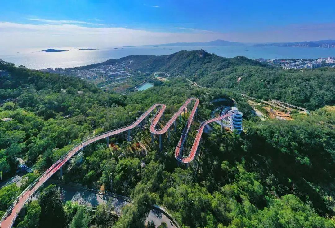 福建旅游武夷山_福建攻略旅游武夷山路线_福建武夷山旅游攻略