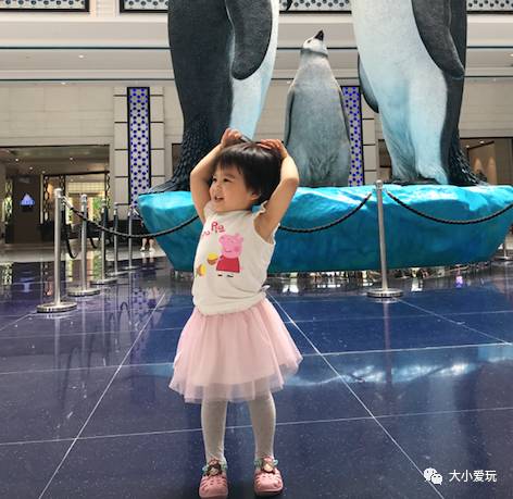 珠海长隆亲子旅游攻略_珠海长隆亲子游攻略两日游攻略_珠海长隆亲子2天游套票