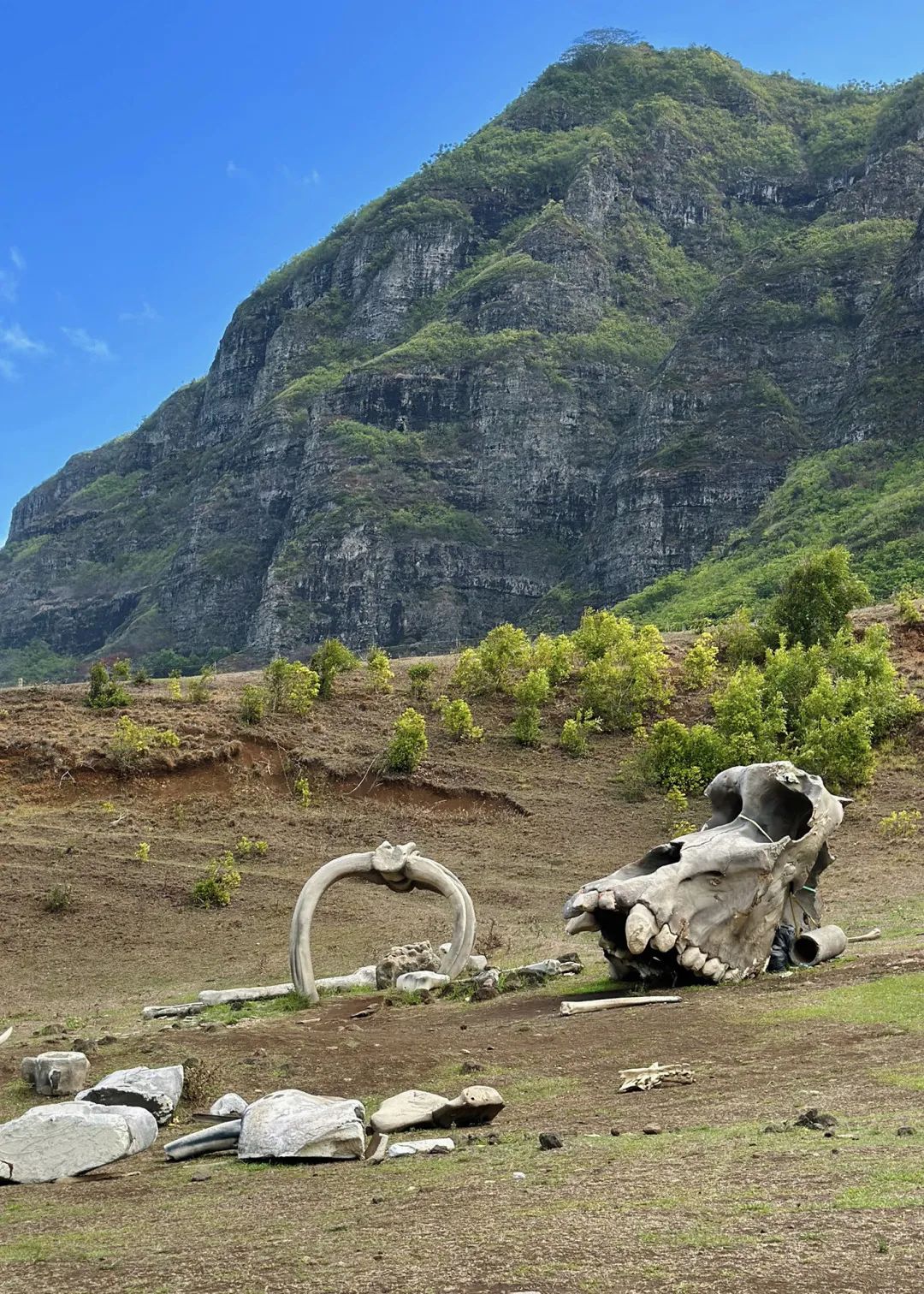 密苏里州名胜古迹_密苏里州旅游攻略_密苏里州景点