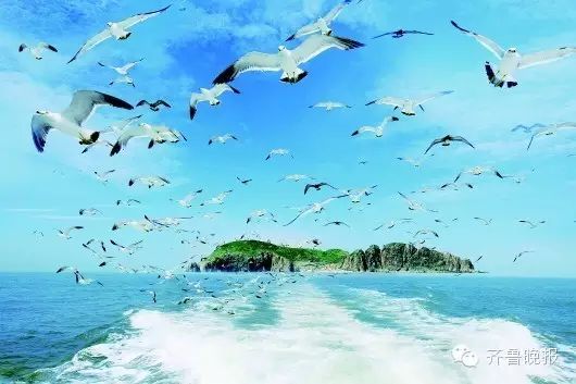 山东沙滩_山东金沙滩景区_山东金沙滩旅游攻略