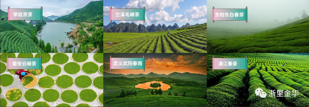 武义北到牛头山旅游攻略_武义牛头山自驾游路况_武义牛头山售票处电话