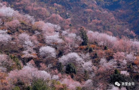武义牛头山售票处电话_武义牛头山自驾游路况_武义北到牛头山旅游攻略