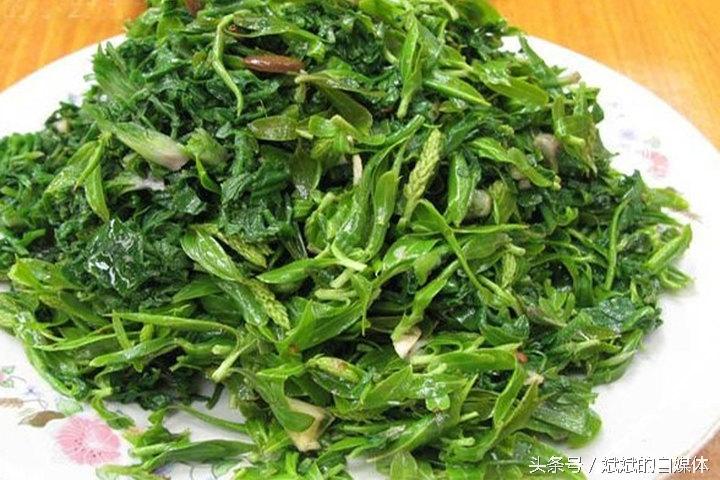 孤山寨旅游攻略-孤山寨电话(图8) 孤山寨电话_孤山寨住宿_孤山寨旅游攻略