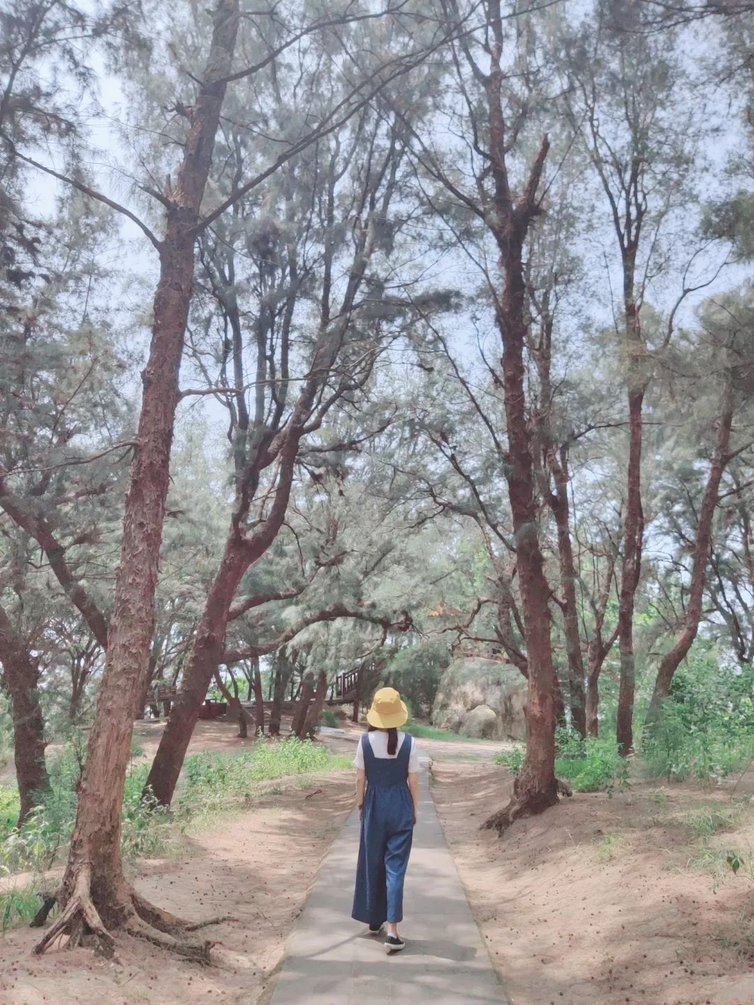 “广州旅游攻略景点必去”_广洲旅游攻略_广州两日旅游攻略