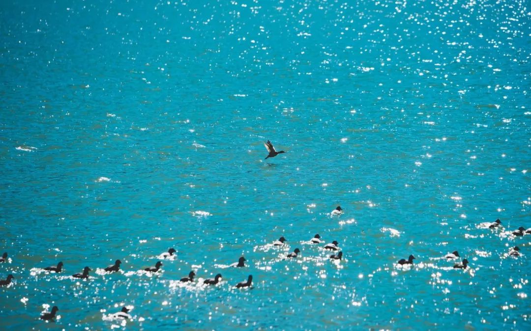 江夏梁子湖旅游攻略-江夏区梁子湖风景区建设规划(图11) 江夏梁子湖旅游攻略_江夏梁子湖自驾风景_江夏区梁子湖风景区建设规划