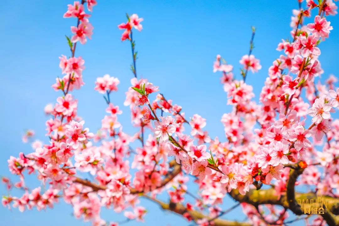 江夏梁子湖旅游攻略-江夏区梁子湖风景区建设规划(图27) 江夏区梁子湖风景区建设规划_江夏梁子湖旅游攻略_江夏梁子湖自驾风景