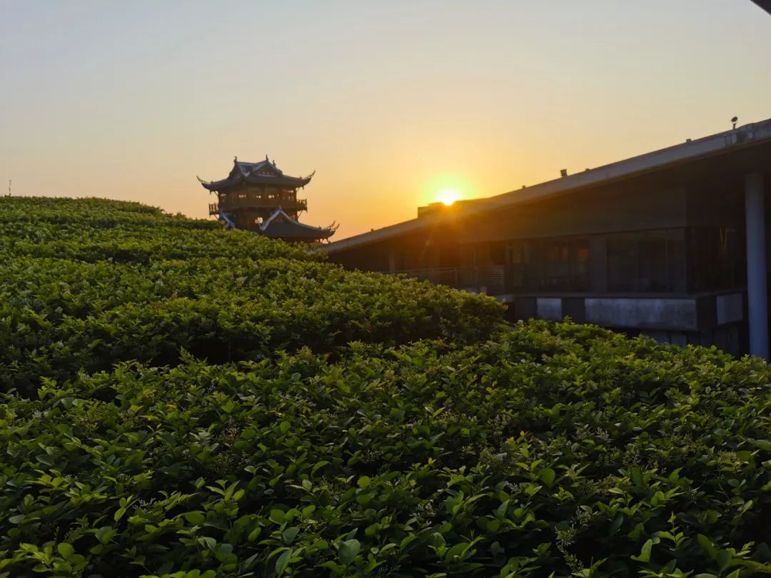 峨眉山老年人旅游攻略_峨眉山景区老年人门票优惠政策_峨眉山老年人门票多少