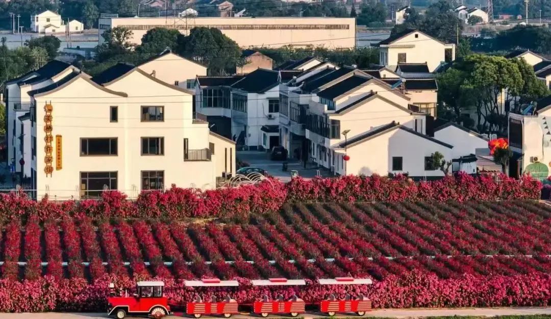 无锡景点影视基地_无锡影视基地一日游_无锡影视城旅游攻略