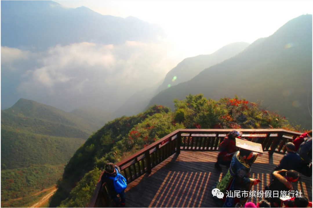 武汉游轮去重庆_武汉到重庆游轮旅游价格_重庆到武汉游轮旅游攻略