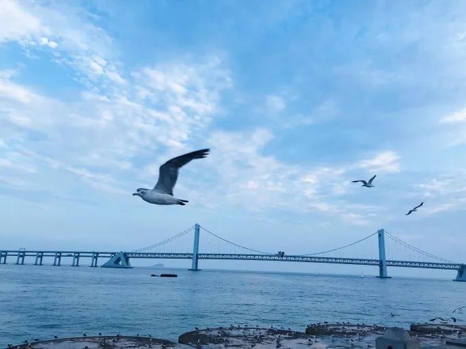 大连黄金海岸的海是什么海_大连黄金海岸开放时间_大连黄金海岸旅游攻略