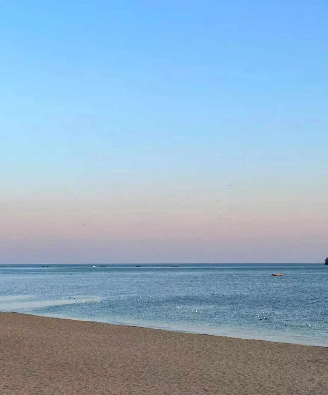 大连黄金海岸旅游攻略_大连黄金海岸的海是什么海_大连的黄金海岸