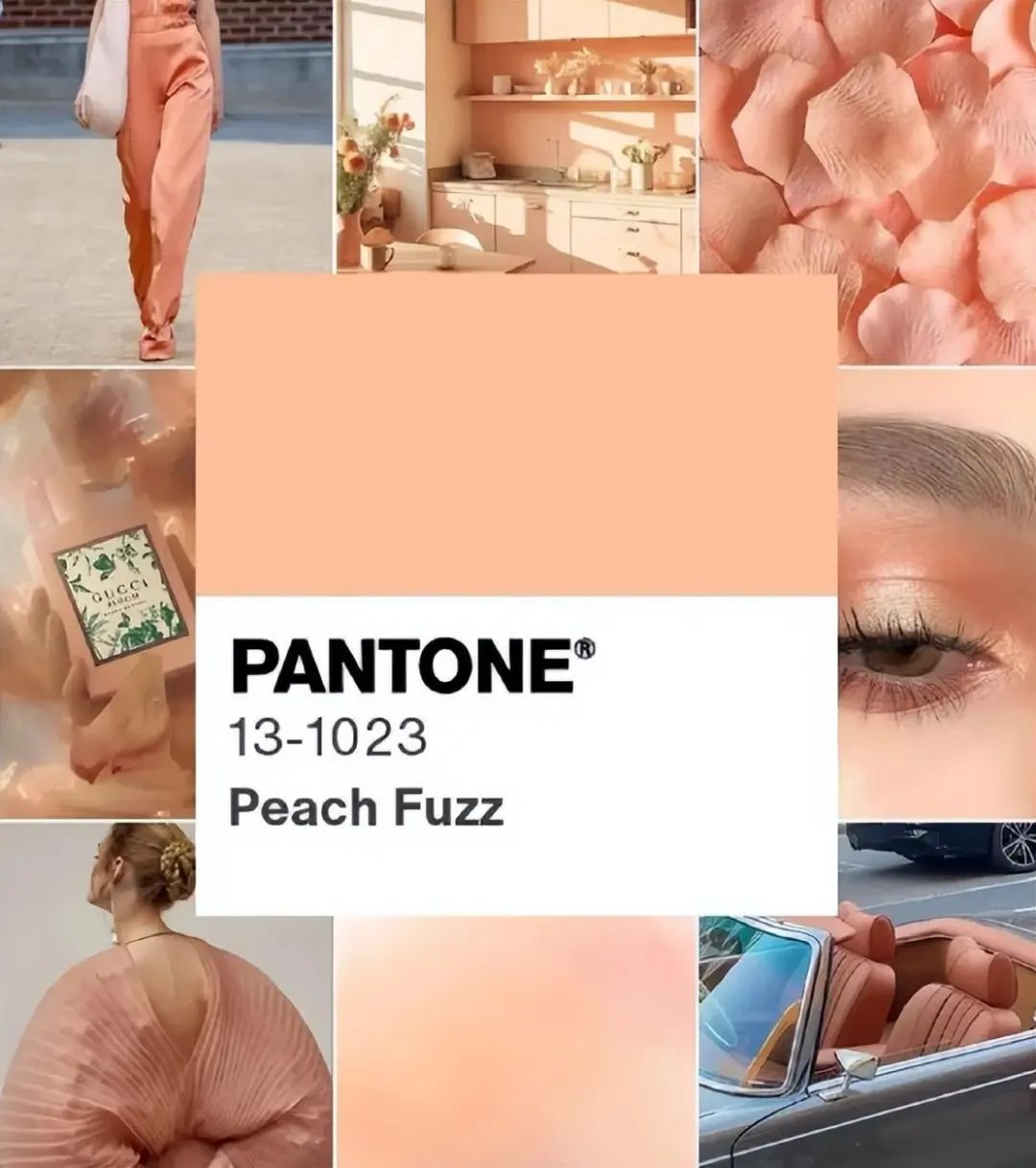 2024时尚毛衣-毛衣时尚品牌(图5) 2024时尚毛衣_毛衣时尚品牌_毛衣时尚款