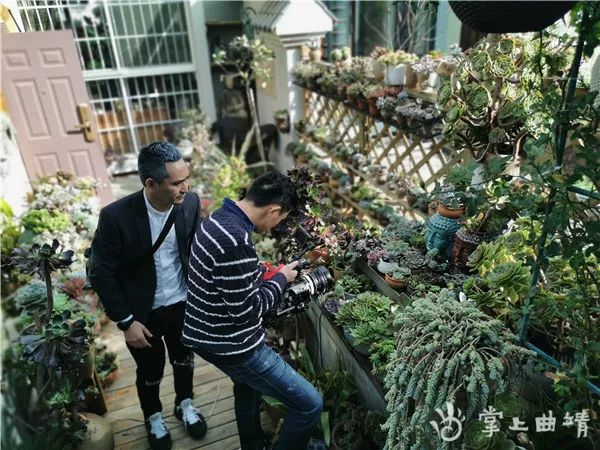 重庆冷暖人生演员报名_重庆时尚频道冷暖人生演员_重庆卫视时尚频道冷暖人生