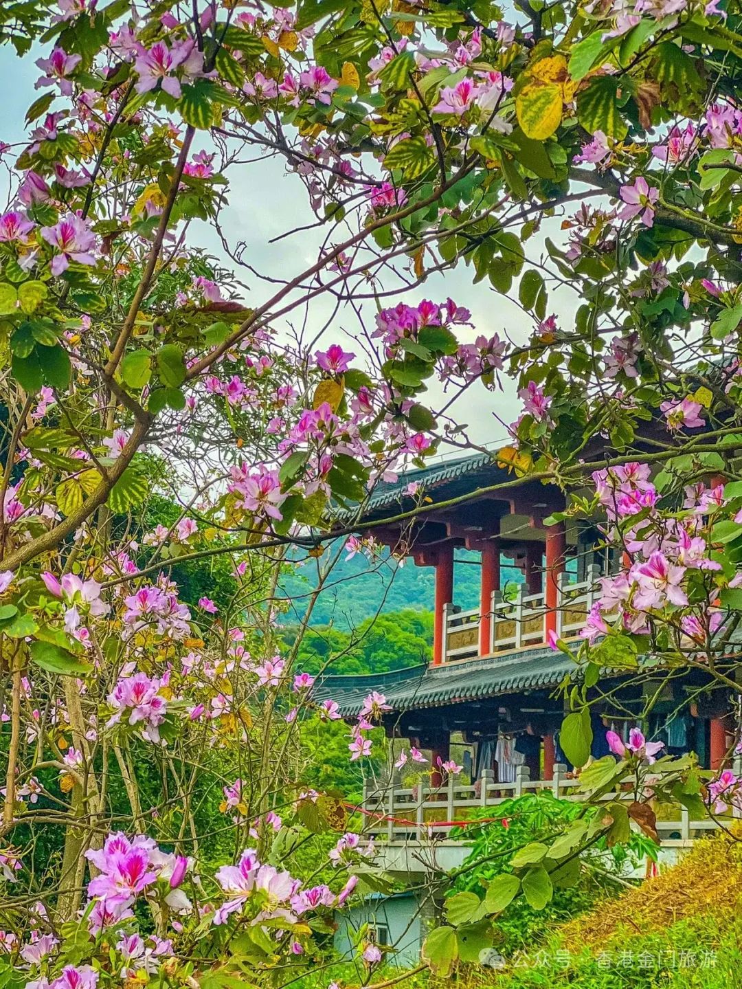 西樵山 旅游攻略_西樵山旅游线路_西樵山旅游度假区