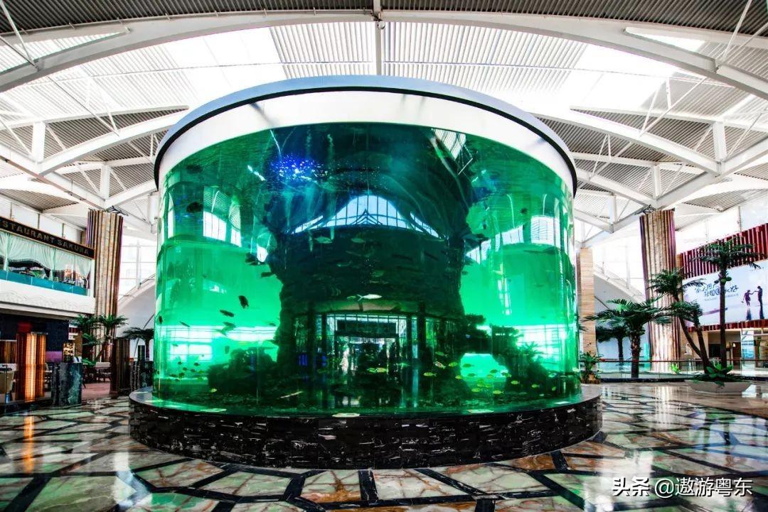 十里银滩旅游攻略_攻略旅游银滩里有什么_银滩游玩