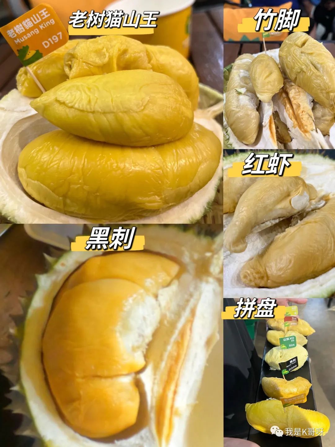 吉隆坡市内旅游攻略_吉隆坡旅游攻略一日游_吉隆坡游玩