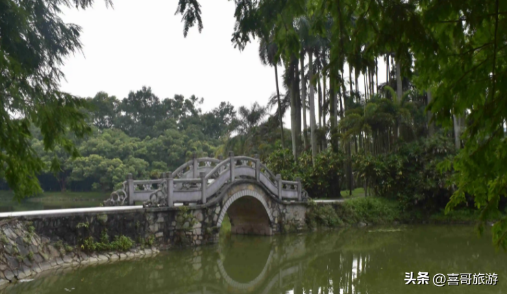 华南植物园收费_华南植物园游玩_华南植物园旅游攻略
