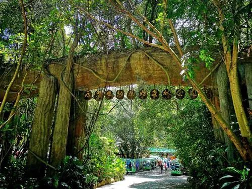 去西双版纳旅游自助游攻略_西双版纳自助餐哪家好吃_西双版纳自助餐厅