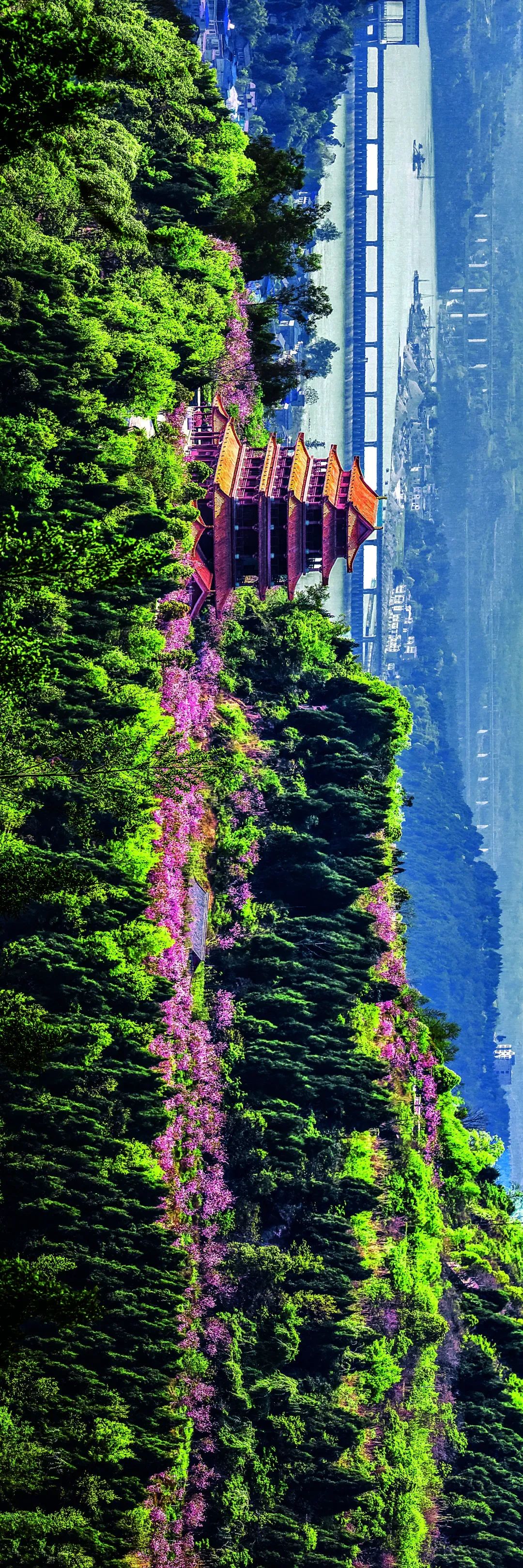 2020春节阆中旅游_阆中旅游景点门票价格_2024年阆中旅游攻略